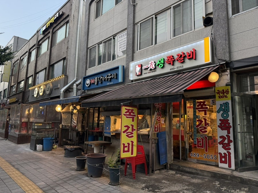 일광 사진 2