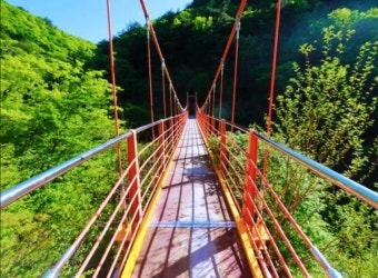 시냇가 사진 4