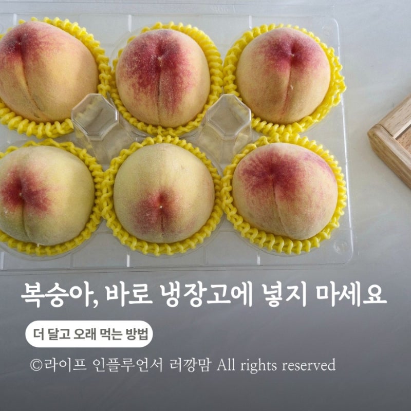 황도 복숭아, 냉장고에 바로 넣으면 안 됩니다? 오래 보관하는 방법