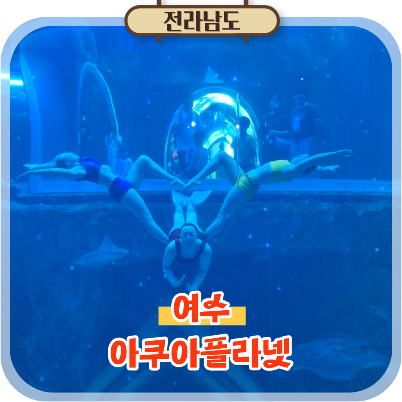 여수 가볼만한곳 아쿠아플라넷 7월 여수 여행 실내 놀거리 볼거리 총정리