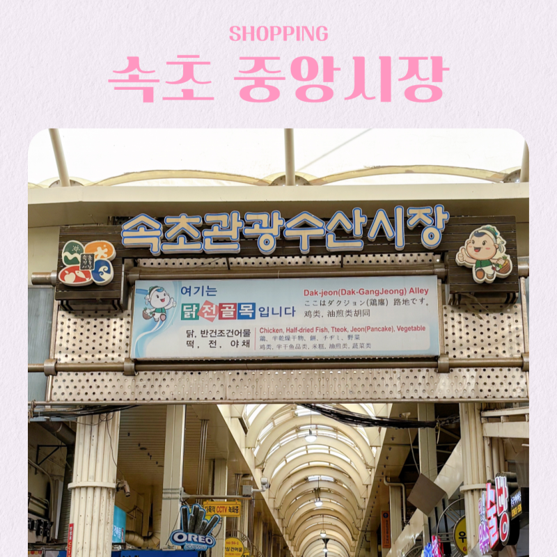 강원도 속초 중앙시장 먹거리 가득한 핫플 주차