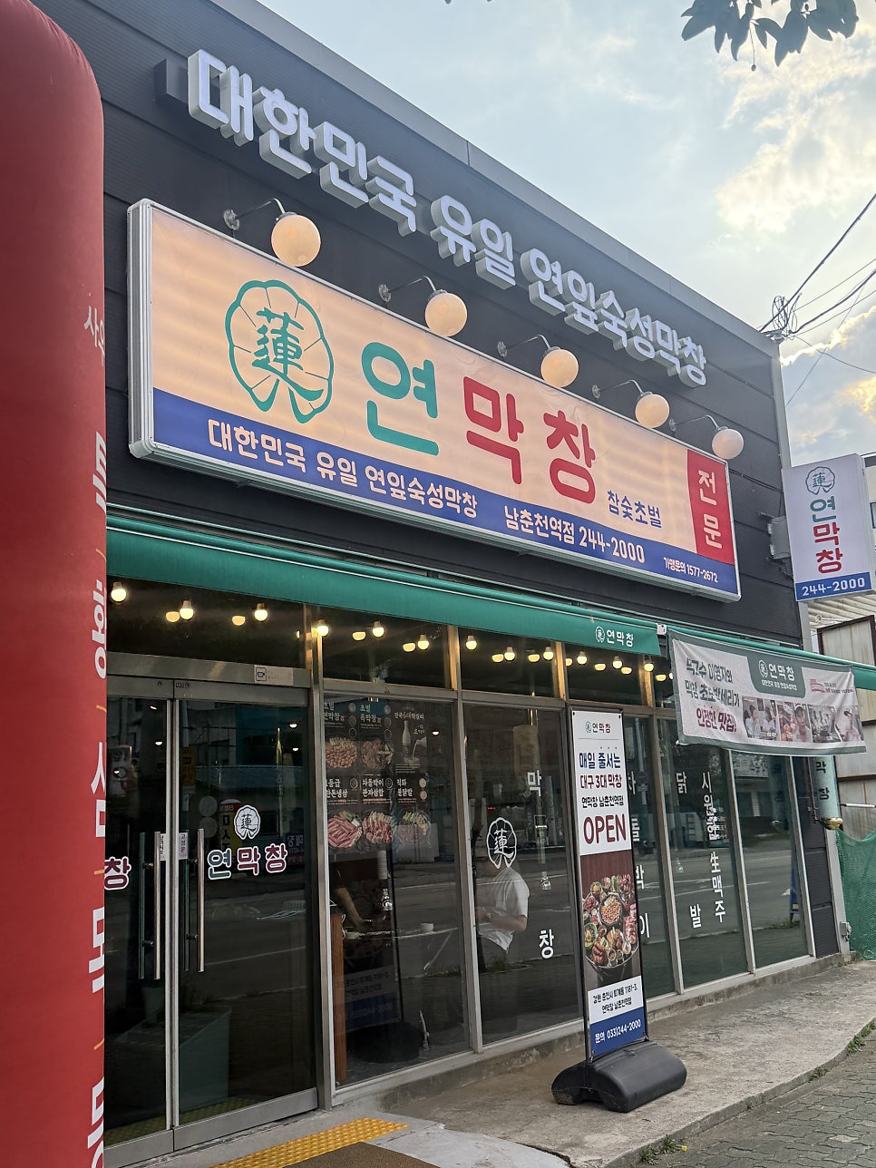 양파 사진 2