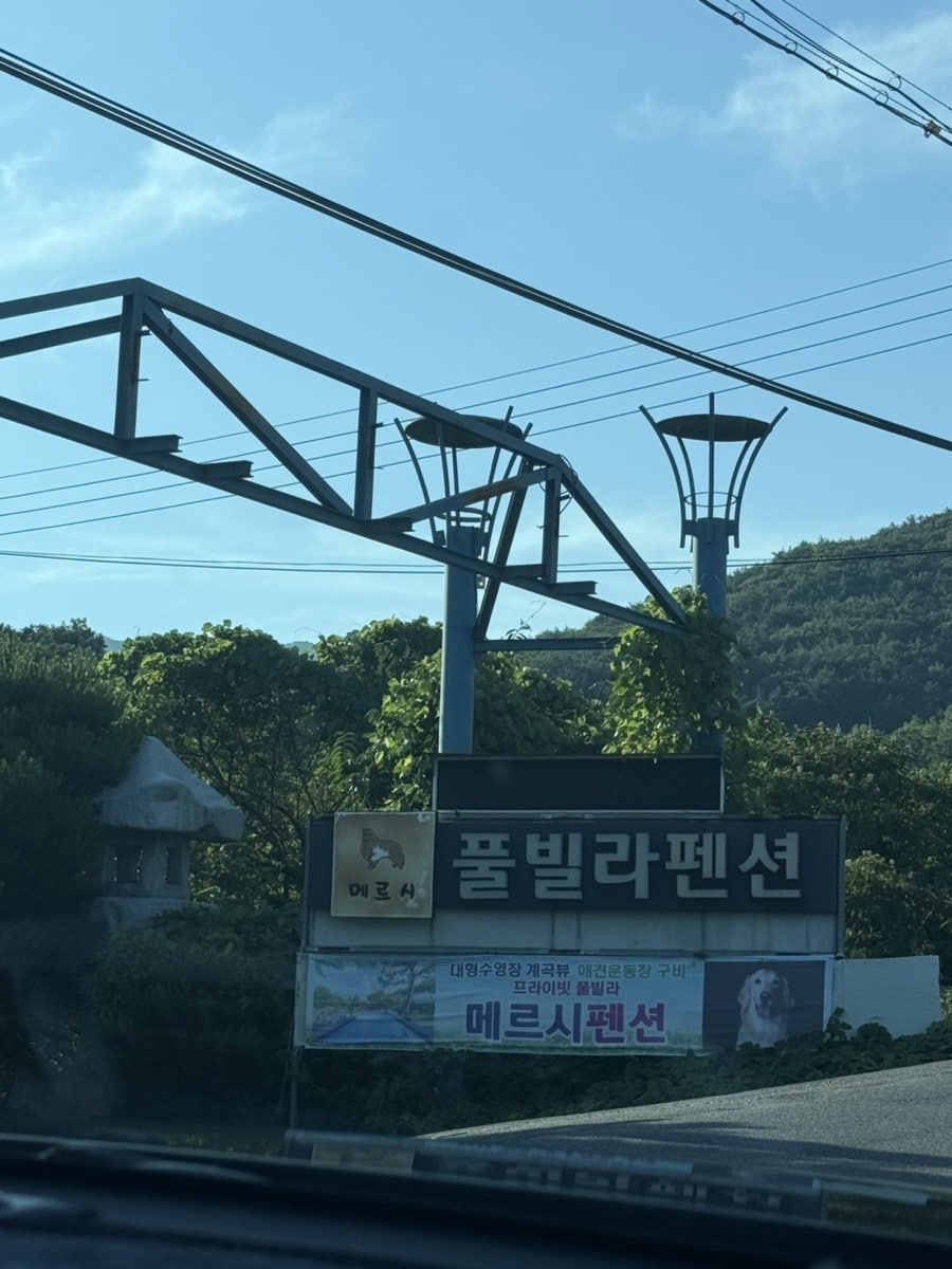 메르시풀빌라펜션 사진 2
