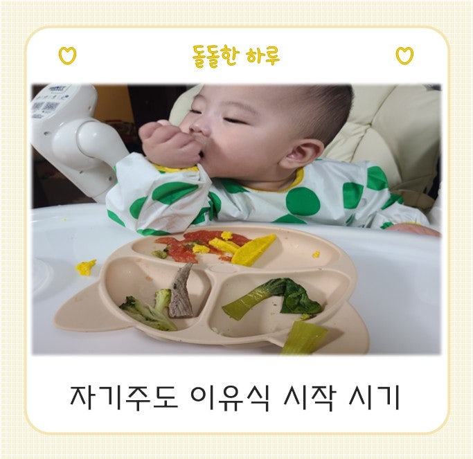 자기주도 이유식 언제부터 가능할까? 6개월 초기 이유식으로 시작