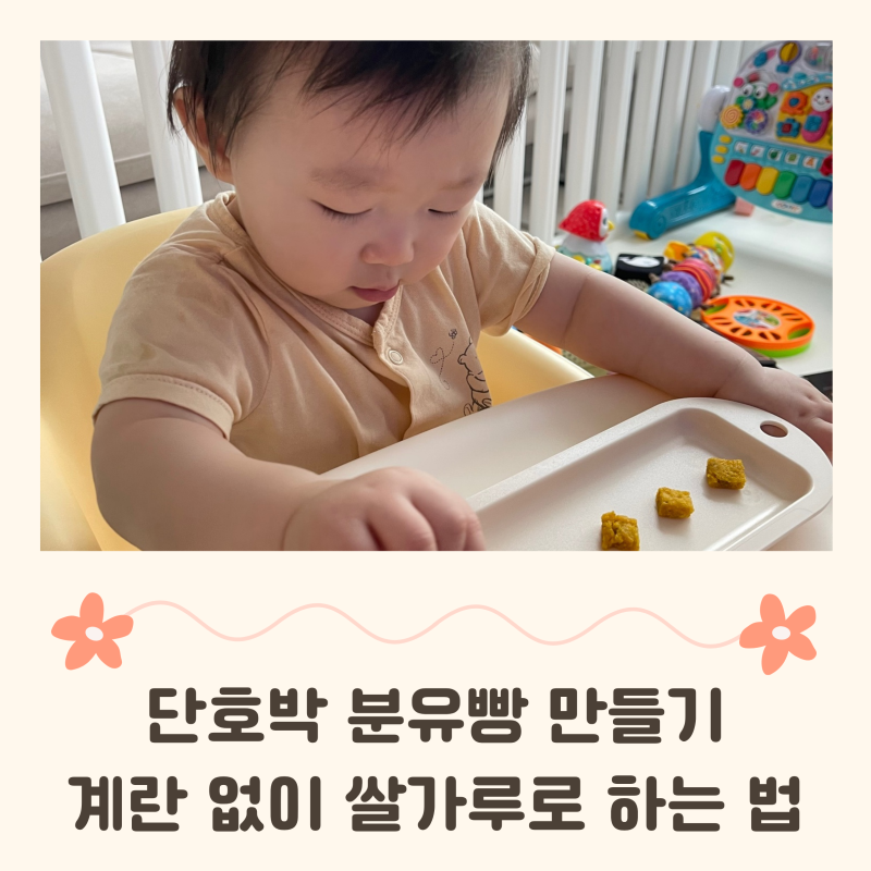 9개월 아기 간식 단호박분유빵 계란 없이 쌀가루로 만드는 레시피와 보관 방법까지!(feat. 수....