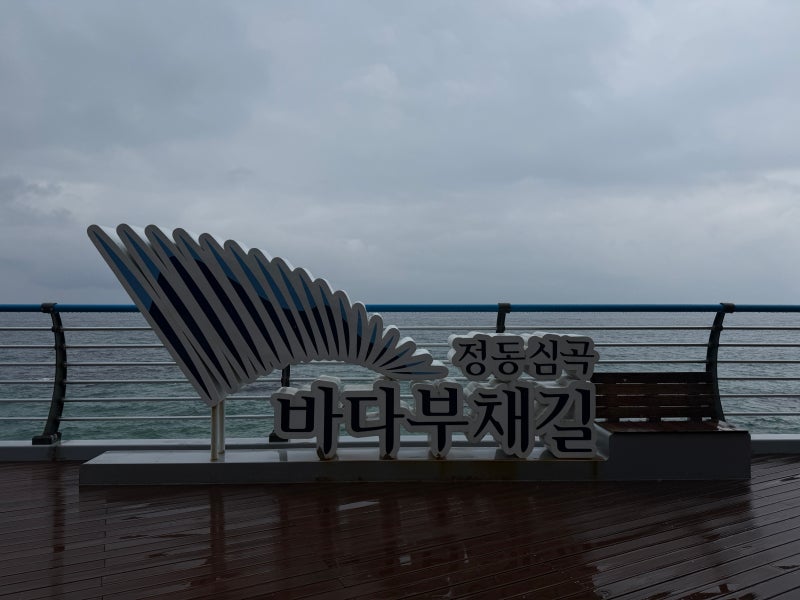 강원도 강릉 여행지 추천 정동심곡 바다부채길을 따라 정동진까지