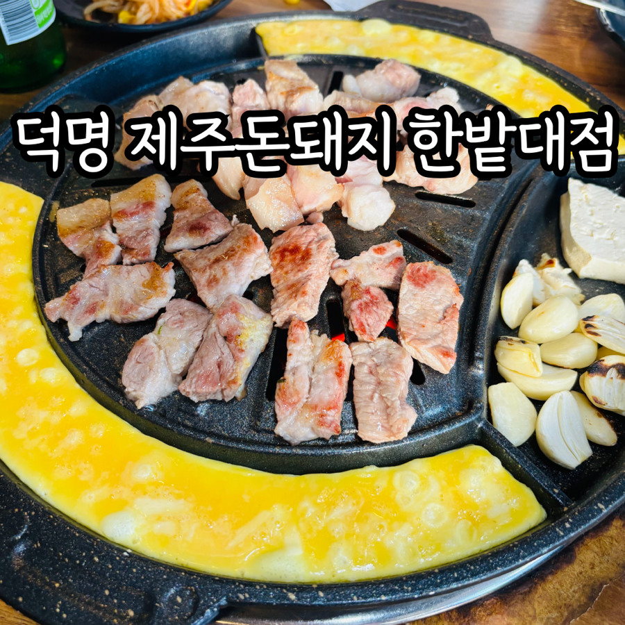 덕명제주돈돼지 사진 1
