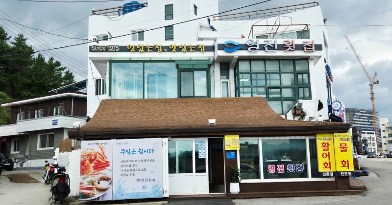 1976년부터 물회를 지켜온 강릉 영진횟집, 반백년의 변화 이야기