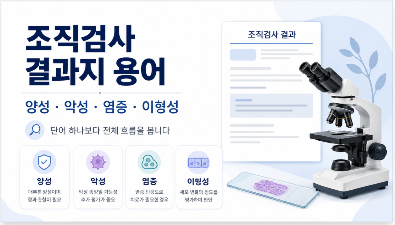 조직검사 결과지 용어 쉽게 보기 | 양성·악성·염증·이형성은 무슨 뜻일까?
