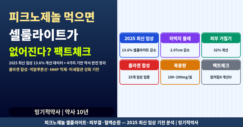 피크노제놀 먹으면 셀룰라이트 없어진다? 12주 후 13.6% 감소한 2025년 임상 결과 약사 분석