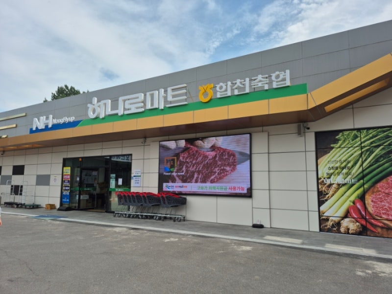 [합천반값여행] 합천축협하나로마트 제로페이가맹점 주말영업 한우 소고기구매꿀팁 캠핑준....