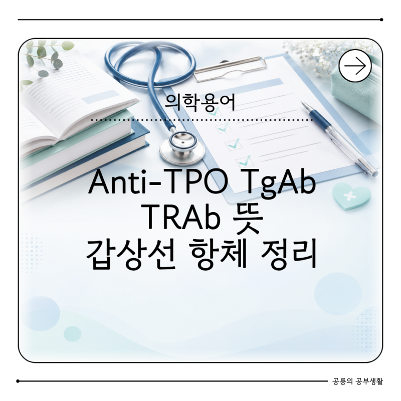 Anti-TPO TgAb TRAb 뜻 무엇일까? 갑상선 자가항체검사 의미 정리