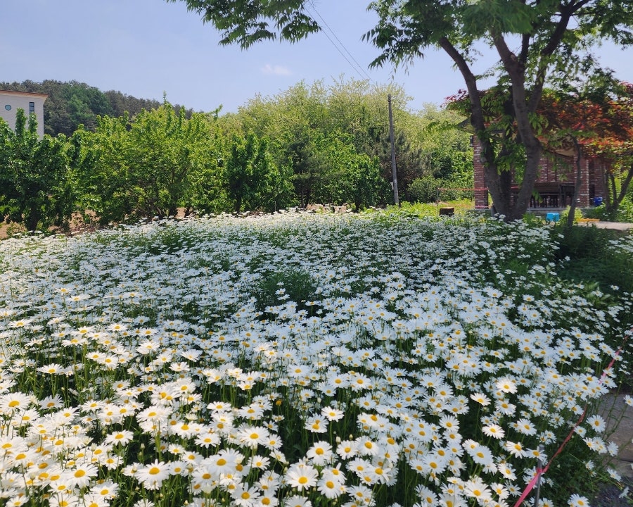 대보명가 제천본점 사진 4