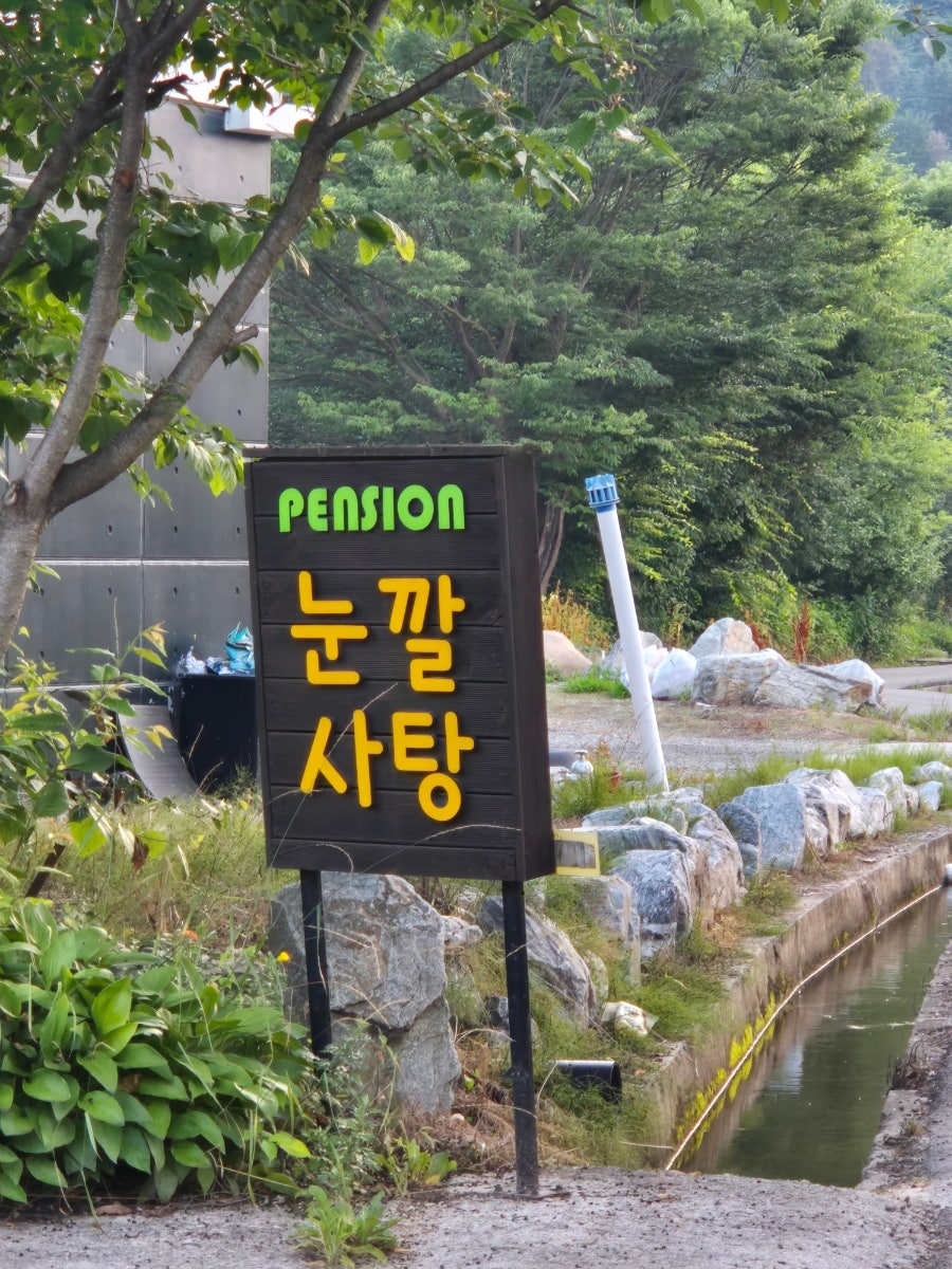 눈깔사탕펜션 사진 1