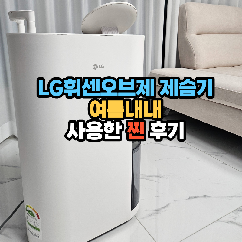 엘지휘센오브제제습기 13L 여름철습기관리 1년사용후기DQ134MWEC