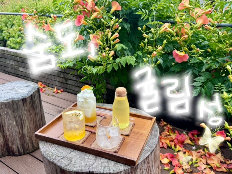 7월8월 제주서귀포 가볼만한곳 수국 능소화명소 숨도 귤림성 예매할인,소요시간부터 카페숨....