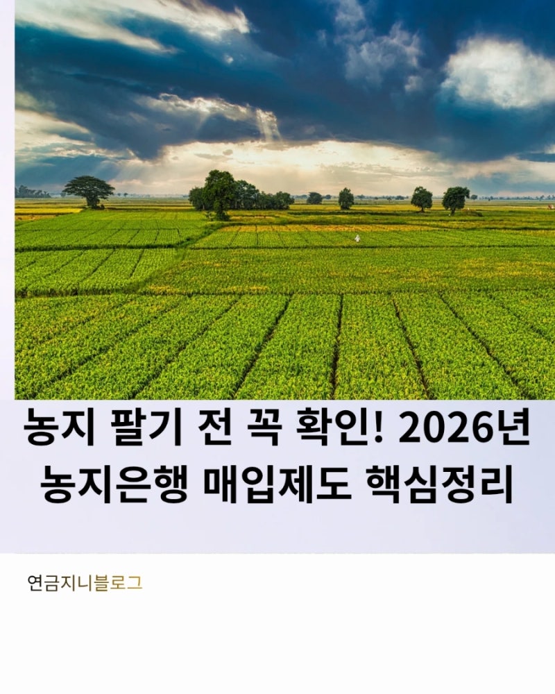 농지 팔기 전 꼭 확인! 2026년 농지은행 매입제도 핵심정리