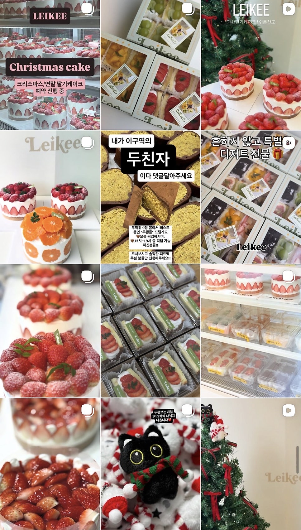 레이키 사진 4