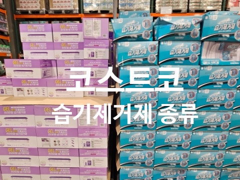 코스트코 습기제거제 제습제 종류 가격 슈가버블 홈케어