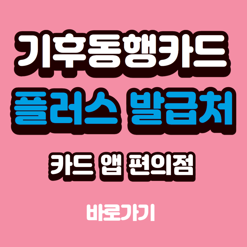 기후동행카드 플러스 발급처 어디일까, 카드사·앱·편의점 구매 기준