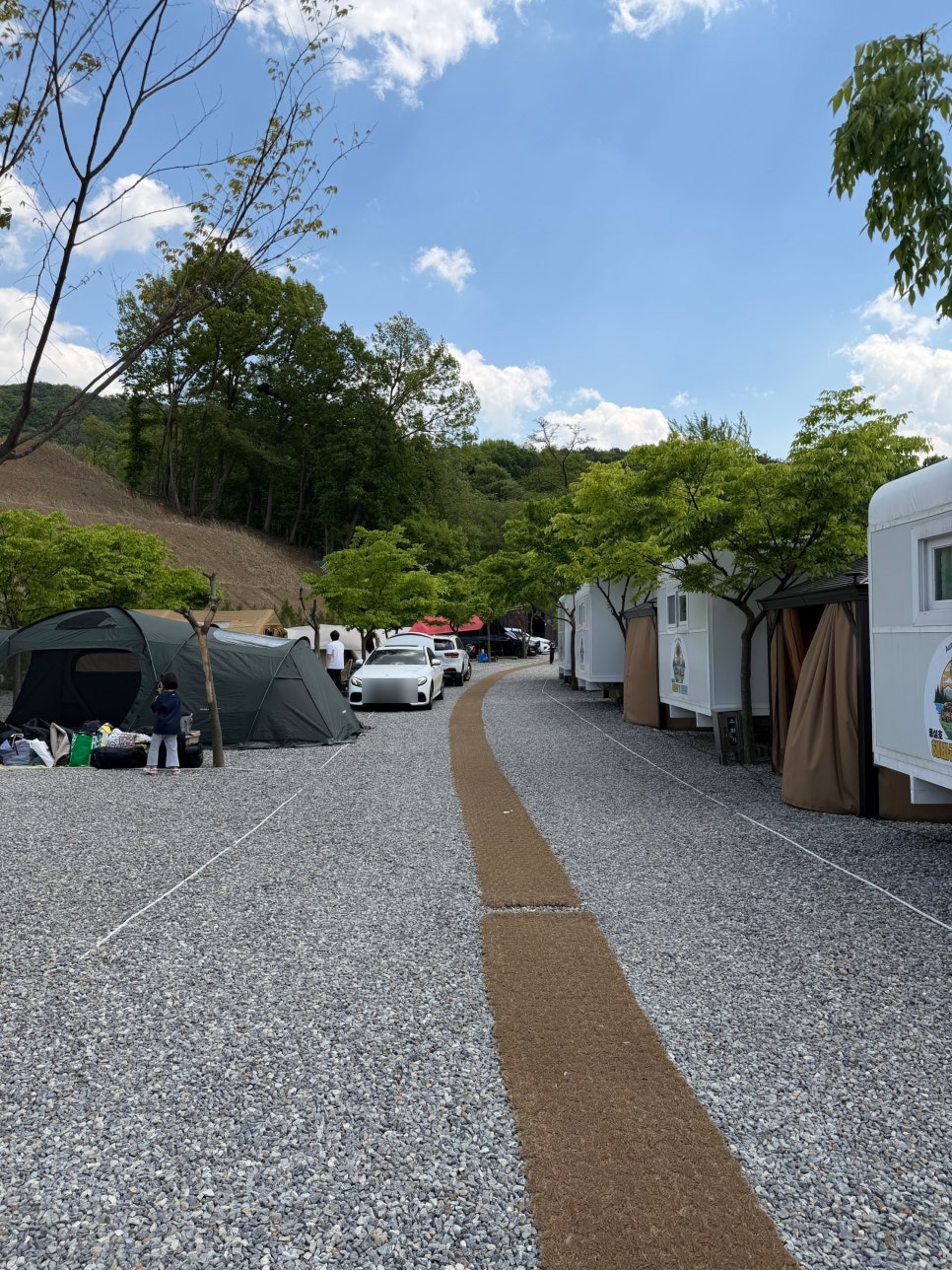 용설호 해바라기캠핑장 사진 5