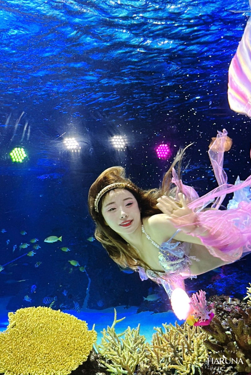 7월 수원 가볼만한곳 광교아쿠아플라넷 실내 놀거리 볼거리
