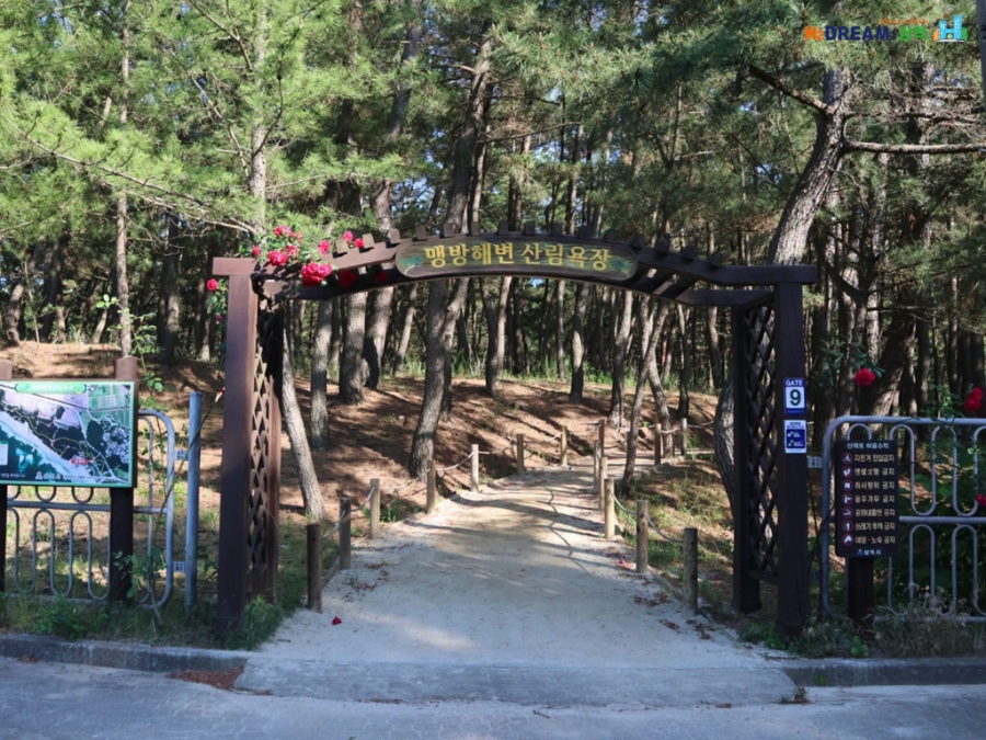 맹방해변산림욕장 사진 1