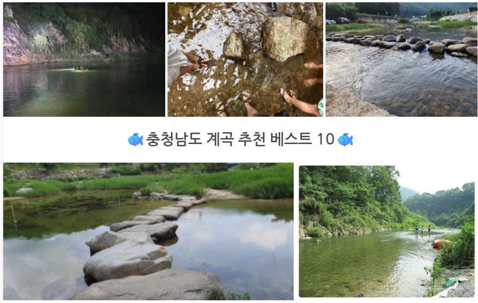 시냇가 사진 1