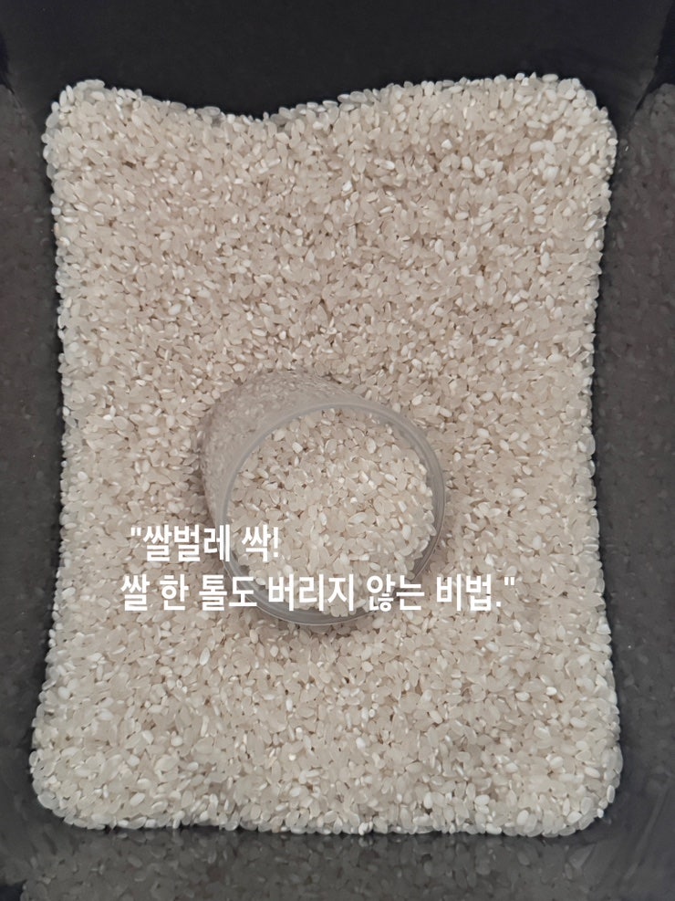 쌀벌레 나왔다면, 아까운 쌀 버리지 말고 해결하기 주방관리