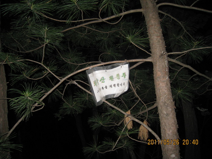 구나무산 사진 4