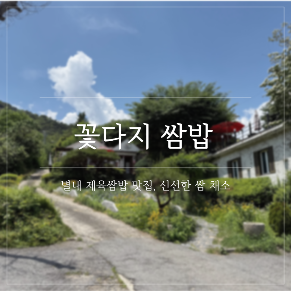 꽃다지쌈밥 사진 1
