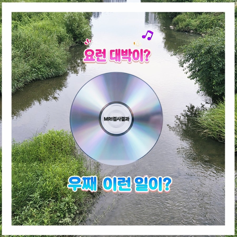 연세제일정형외과의원