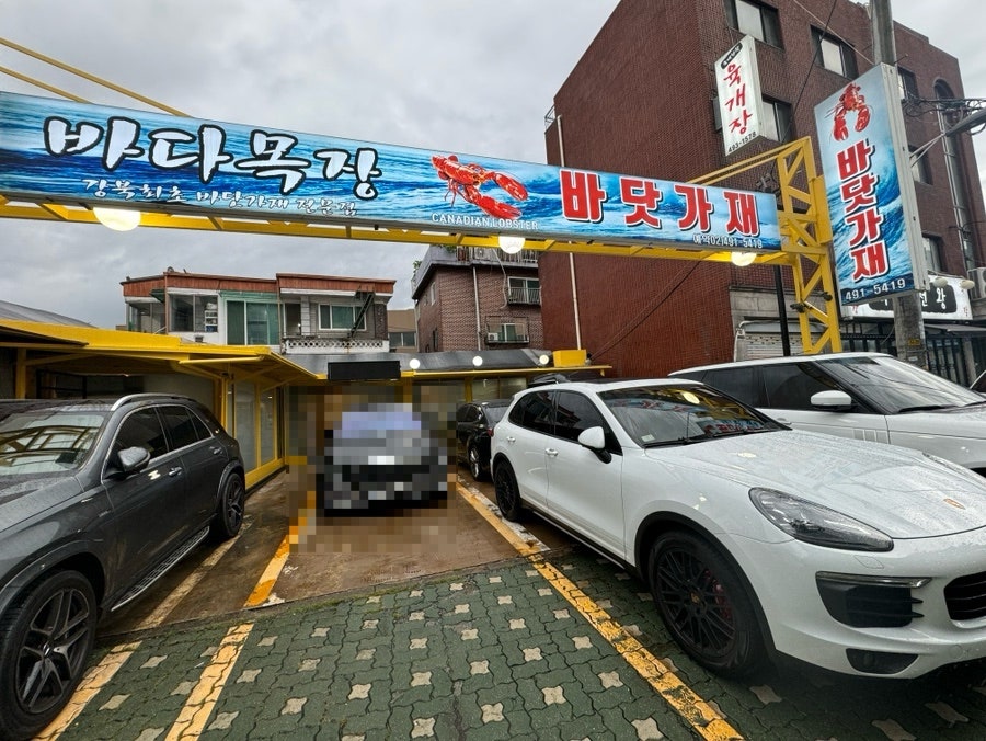 바다목장바닷가재 사진 1