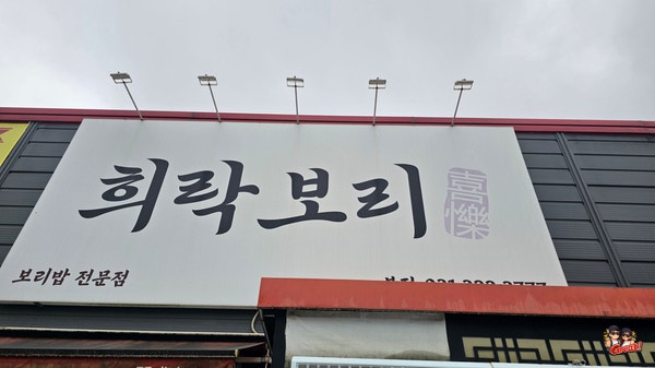 희락보리 사진 1