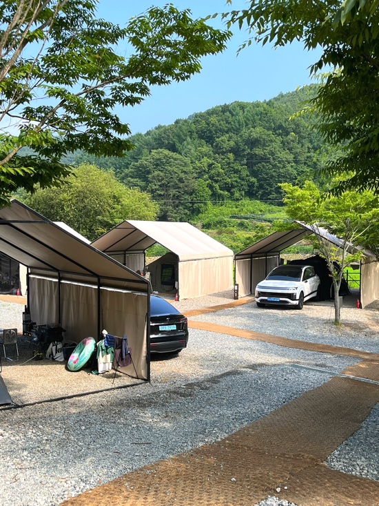 포레스트 사진 6