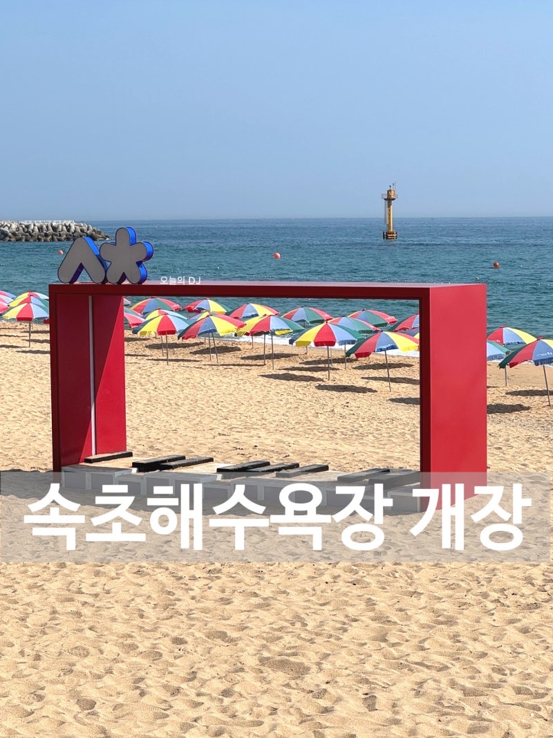 속초해수욕장 개장, 개장일 다음날 방문, 주차장 샤워장 파라솔대여 정보