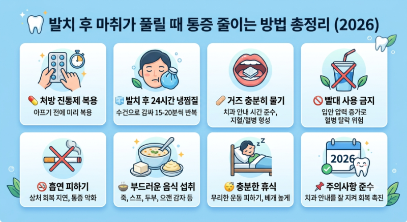 치아 발치 후 마취가 풀릴 때 너무 아프다면? 실제로 도움이 되는 방법 총정리 (2026)