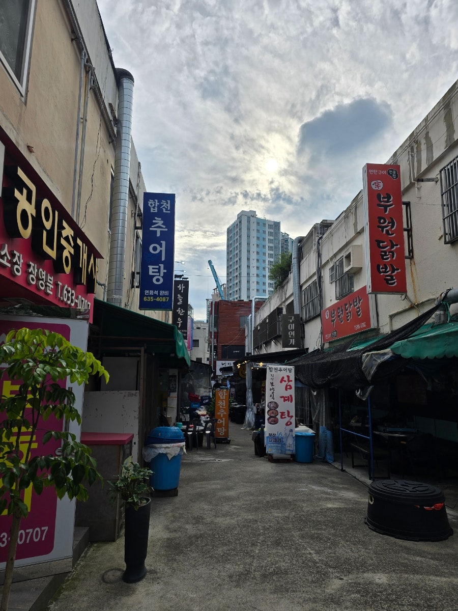 마야생양고기 사진 1