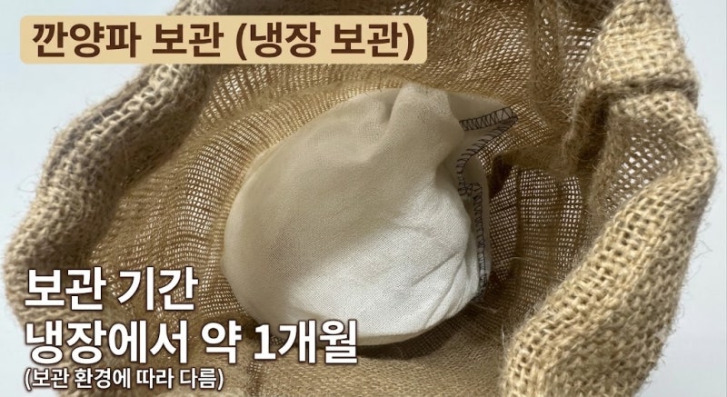 양파 보관법, 실온, 냉장, 냉동 신선하게 관리하는 방법 정리