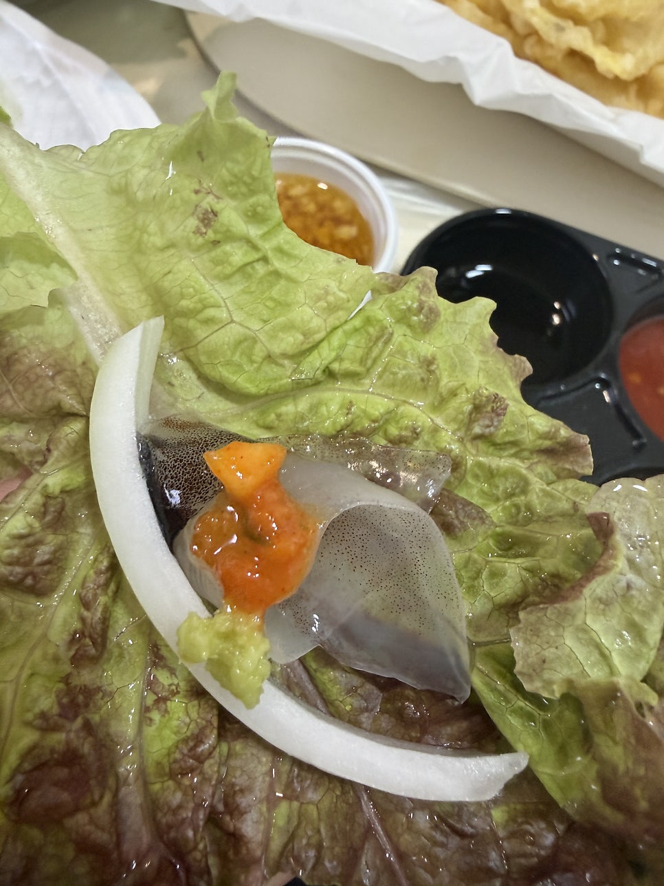 산오징어바다 사진 5
