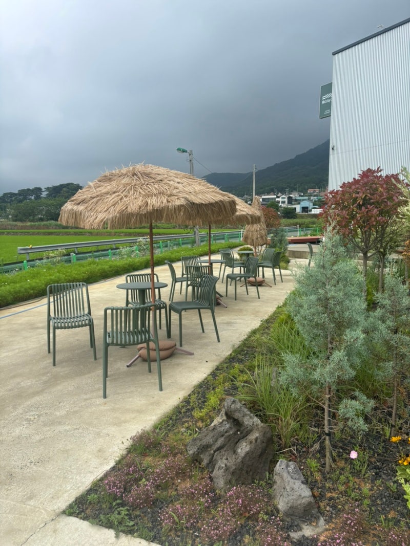 충남 보령 이국적인 대형 베이커리 신상 카페 ‘미드데이오브’