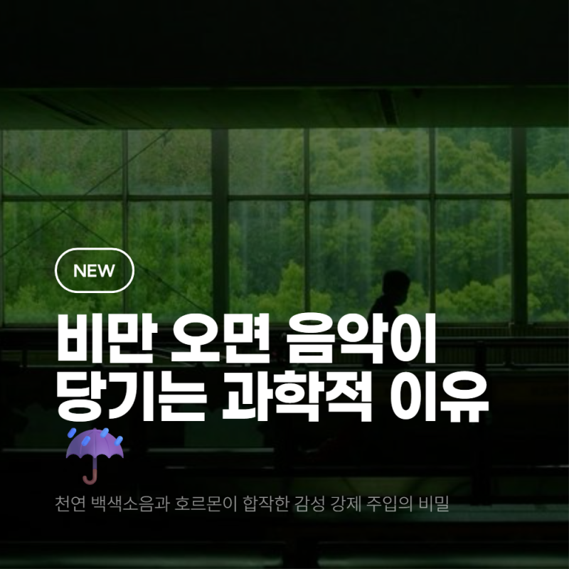 ☔ 비가 오면 오디오룸에 감성 치트키가 켜지는 과학적 이유 (feat. 빗소리 레이어링)