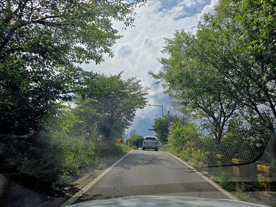 남경막국수 가족1 사진 1