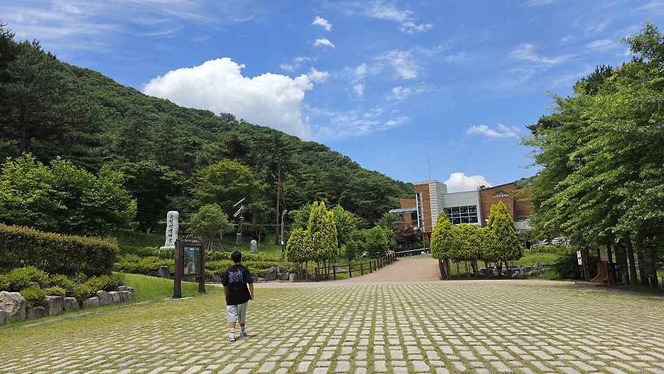 금성산생태숲 사진 3