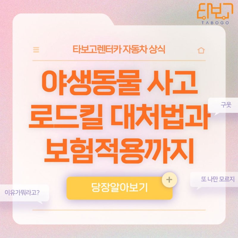 야생동물 로드킬 사고 대처법! 신고방법부터 보험 적용까지 총정리