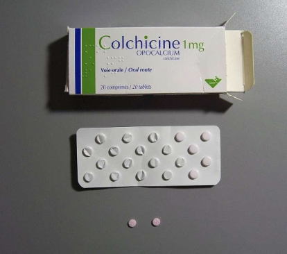 [통풍 발작] 콜킨정 - 콜키신colchicine: 요산 수치는 낮추지 않는 항염증 약