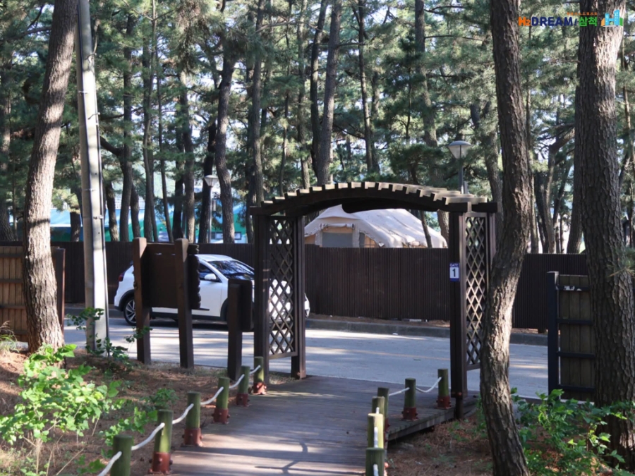 맹방해변산림욕장 사진 3