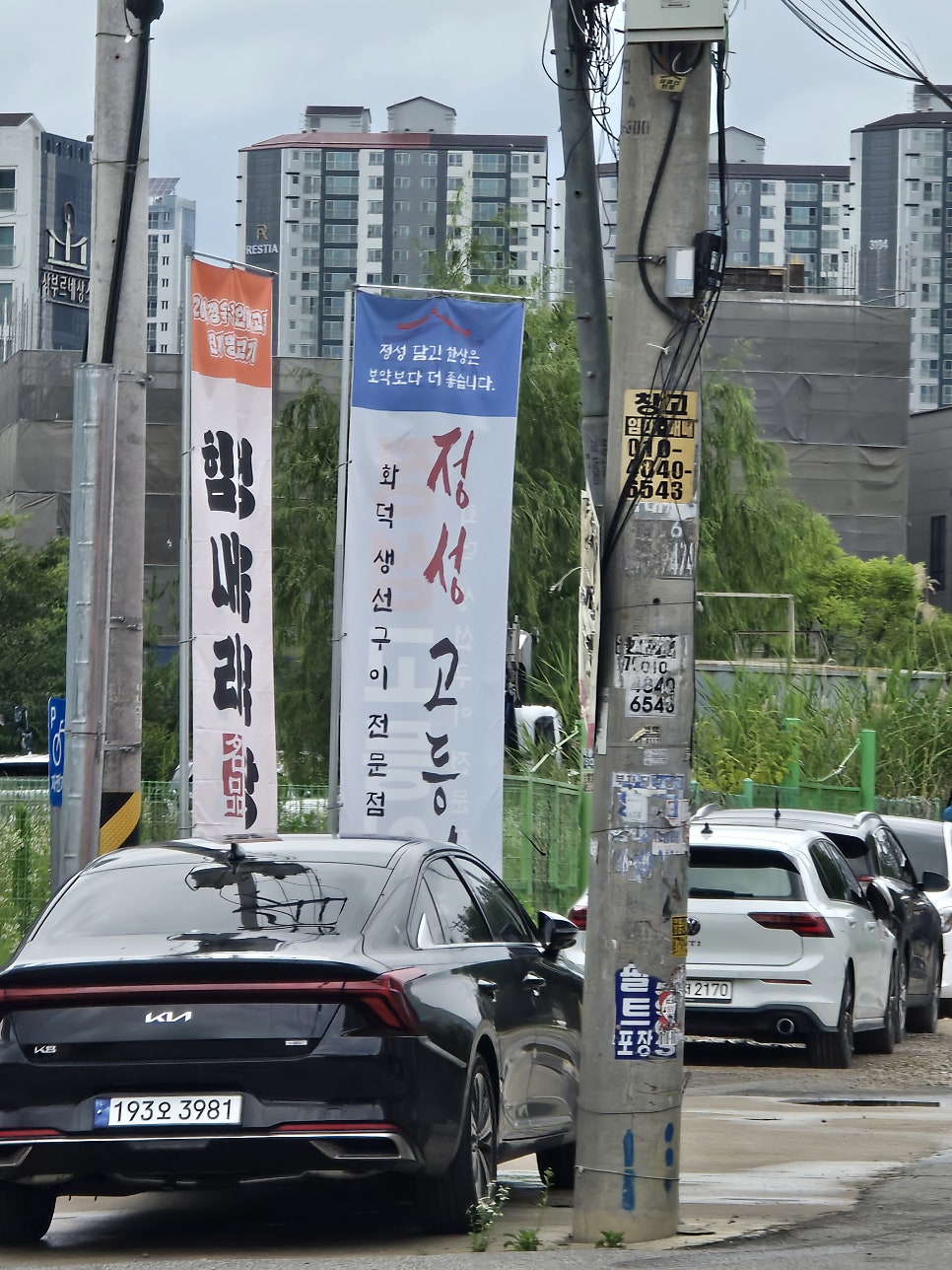 정성고등어 사진 3