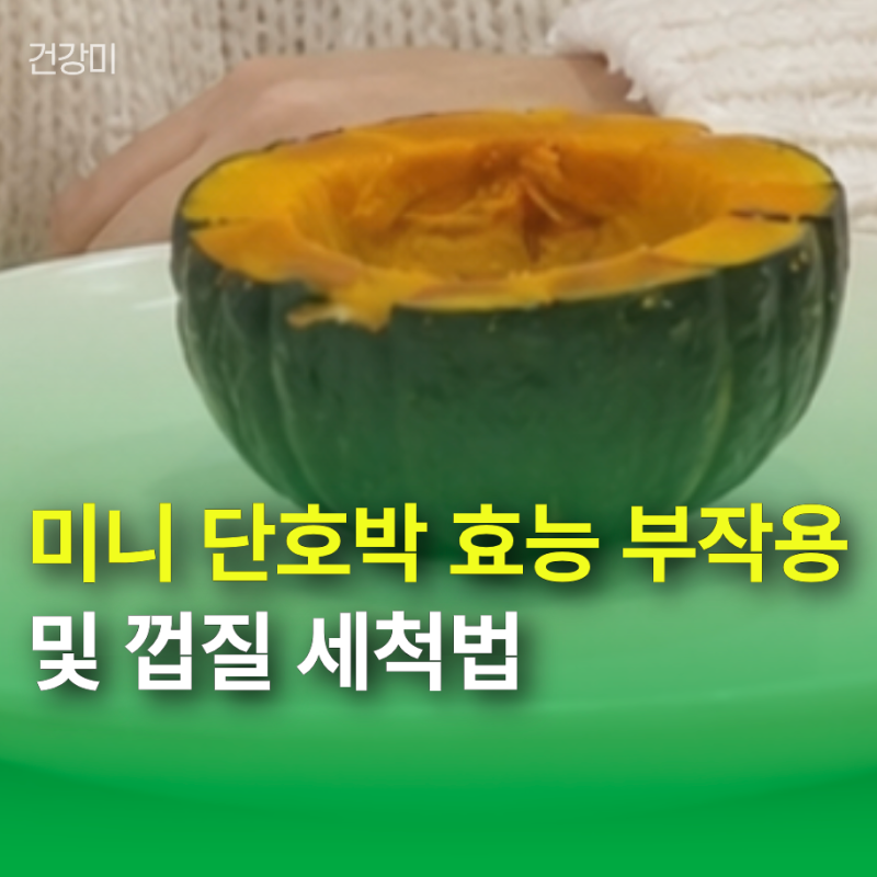 미니 단호박 효능 부작용 및 껍질 세척법 "이럴 땐 그냥 먹지마세요"