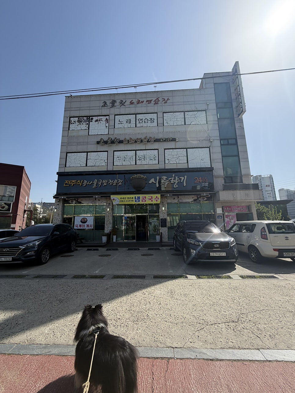 시루향기 사진 3